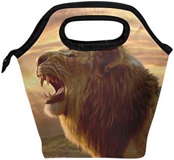 Vipsk Чанта за обяд, чанта-тоут, Водоустойчив Училищна чанта за Пикник на открито, за мъже, Жени и ученици (Lion)