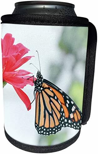 Триизмерна макросъемка пеперуди-монарх на червен фон. - Опаковки за бутилки-охладители (cc_350926_1)