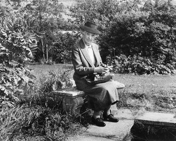 Джоан Hickson седи в градината, в ролята на мис Марпъл от 1987 епизод на Отмъщение 8x10 снимка